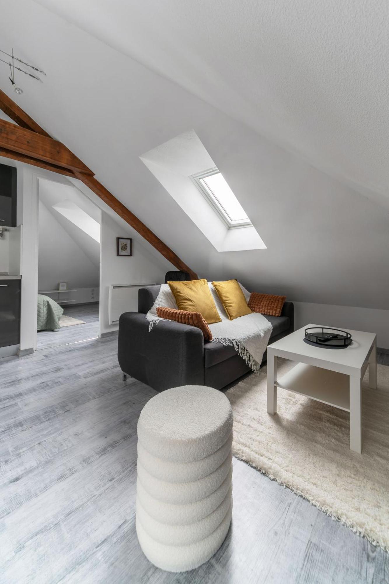 Residence La Provence - Appartements Proches Centre Ville ヴィシー エクステリア 写真